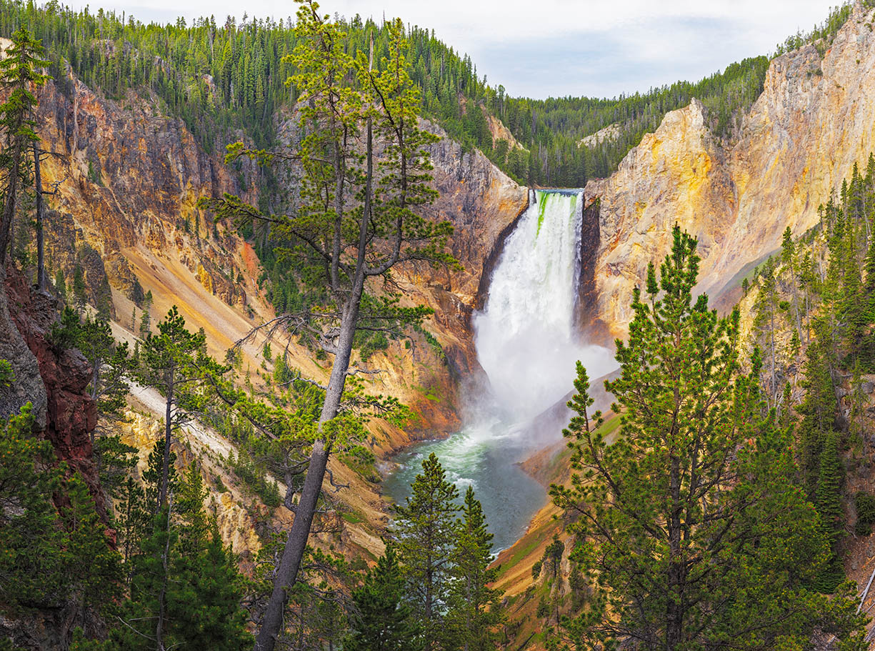 Yellowstone Falls