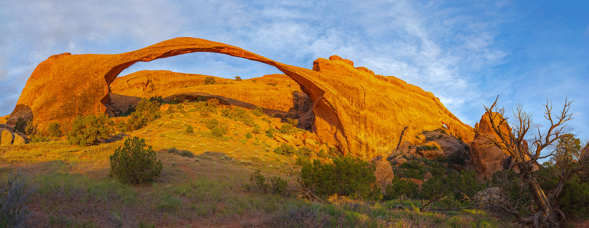 Landscape Arch in Arches National Park