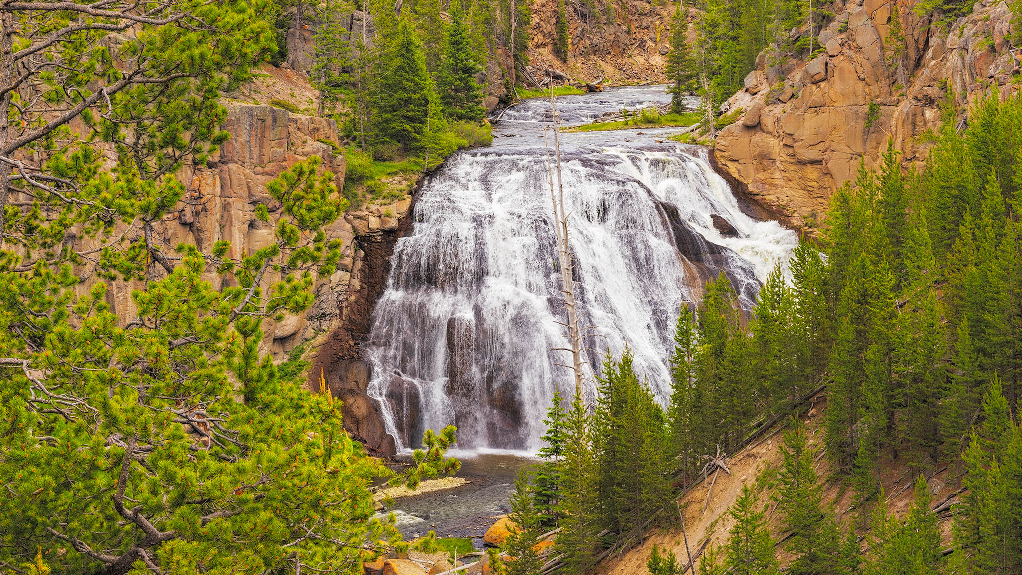 Gibbins Falls in Yellowstone National Park