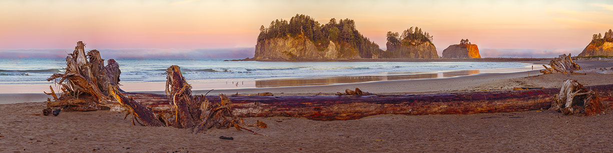 First Beach at La Push, Washington