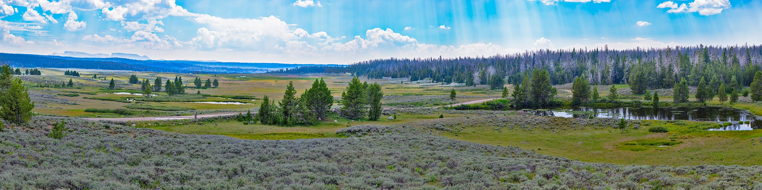 Echoes of Ancient Drums — high-country valley south of Union Pass, Wyoming