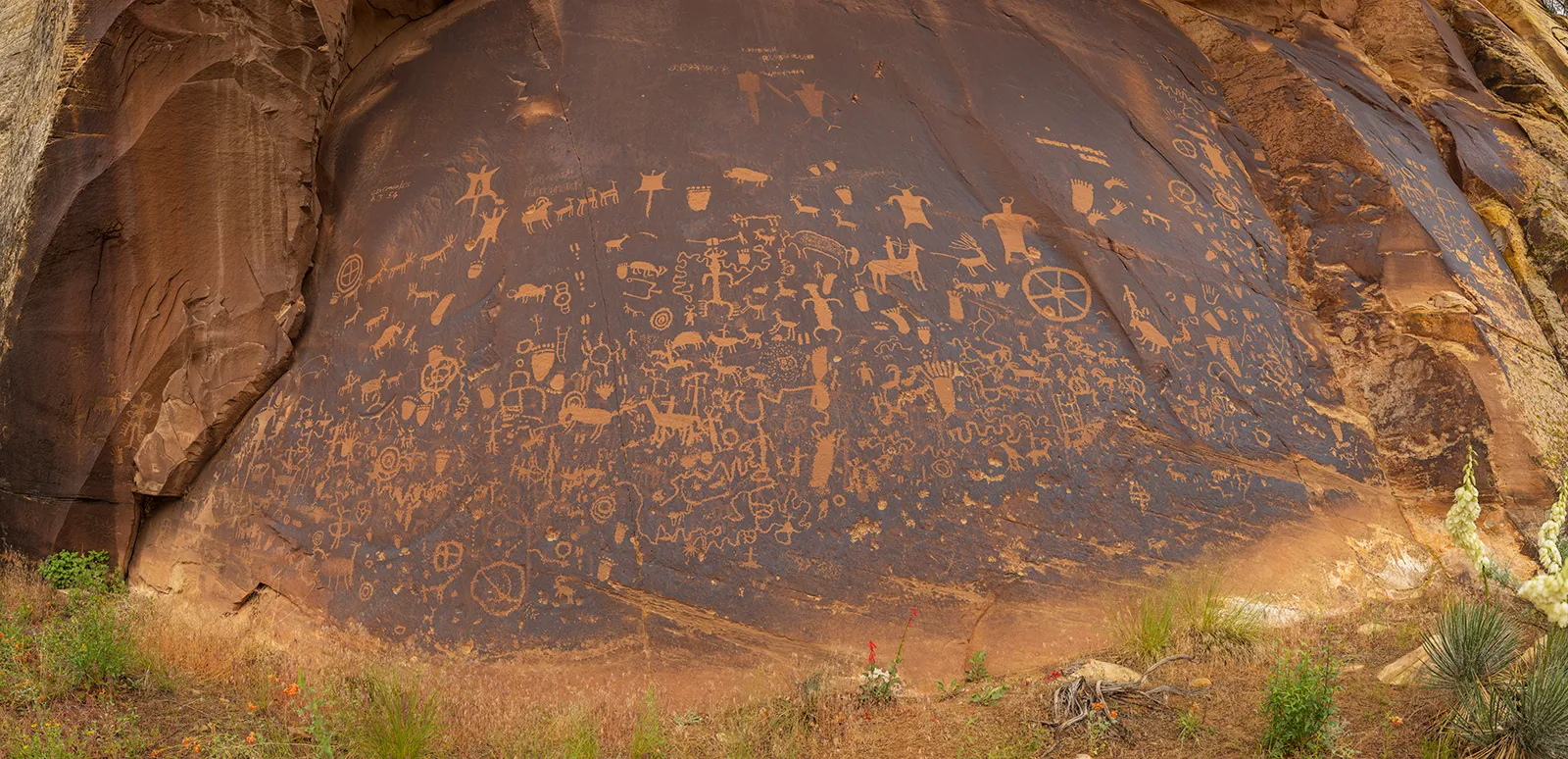 Newspaper Rock Petroglyphs – Bears Ears, Utah