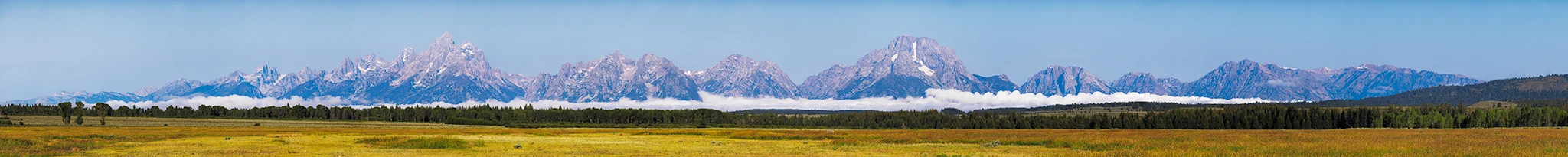 Tetons from Elk Meadows