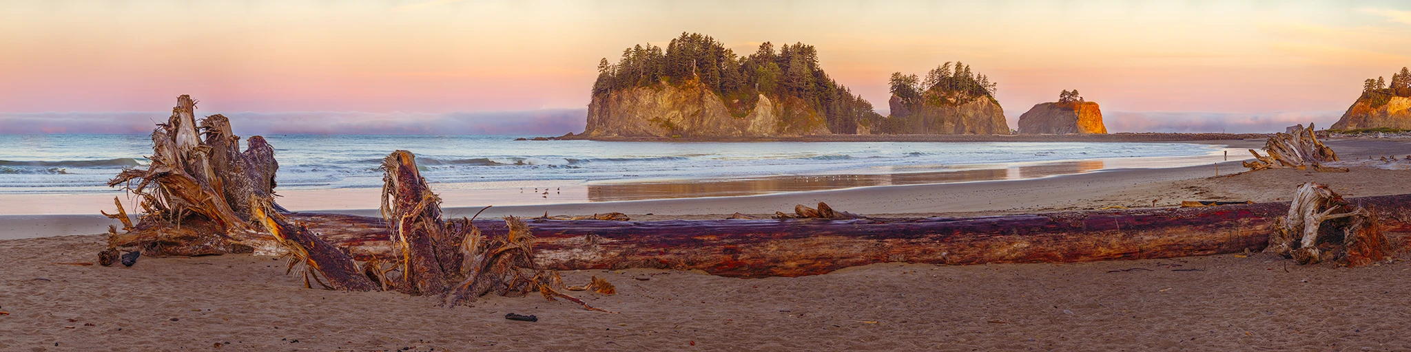 Quileute First Beach Sunrise, La Push, Washington