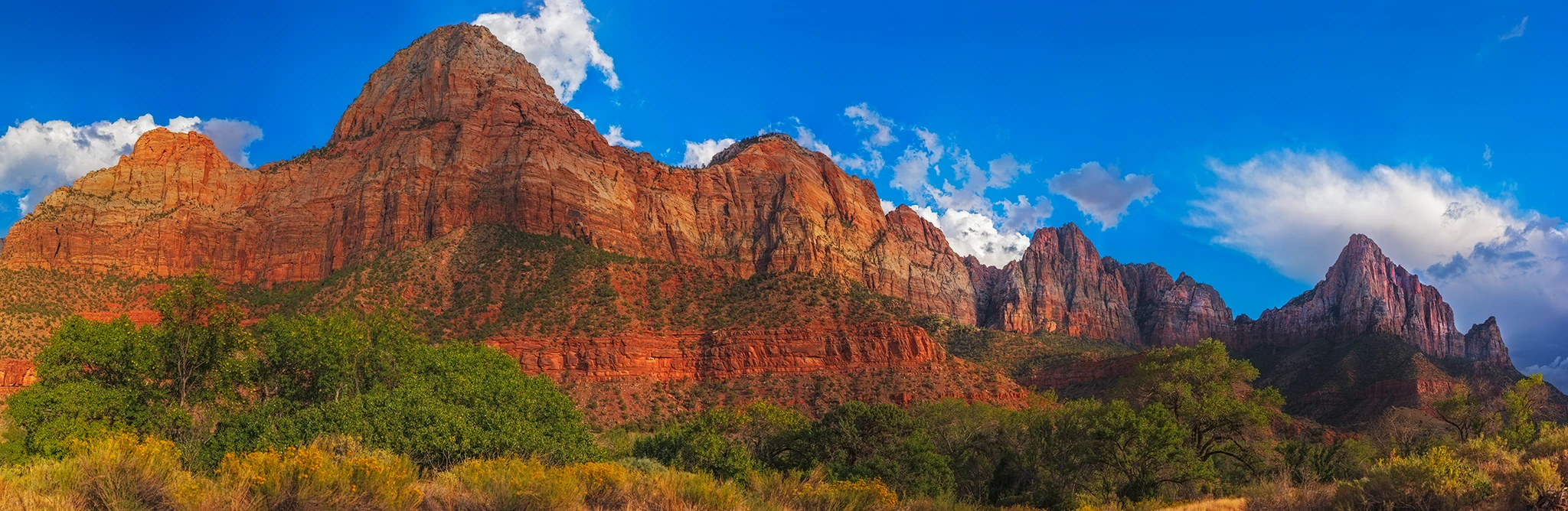 The Watchman in Zion