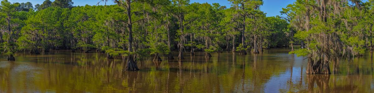 Caddo Lake