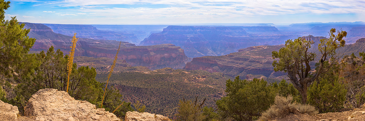 Crazy Jug Point