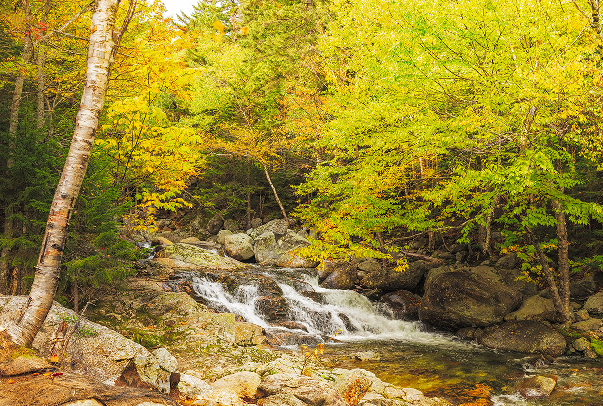 Lower Falls at Crystal Cascade