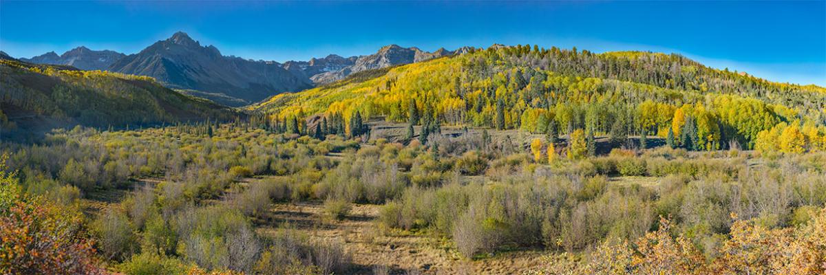 Mt Sneffels and Fall Colors