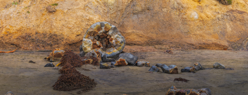 Broken Moeraki Boulder