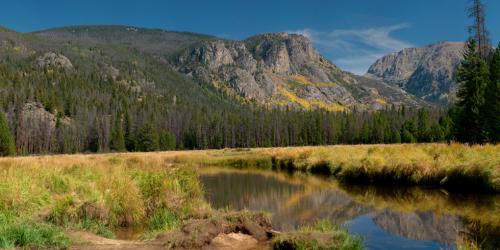 East Meadows Reflections