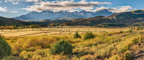 Hay Field and Mt. Sneffels