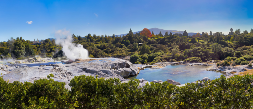 Pohutu Geyser