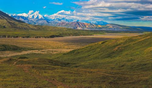 Denali's Vastness