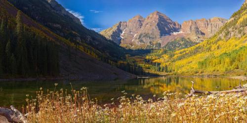 Maroon Bells Fall Colors and Daisies