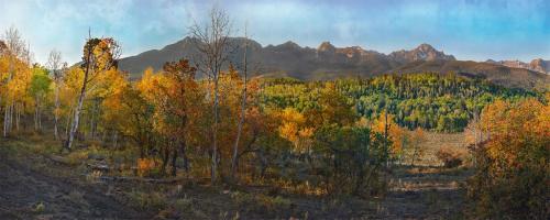 Sneffels Through the Aspens